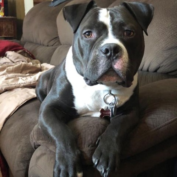 Meet your Posher, Gary - Picture 1 of 1